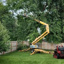 Professional Tree Services in Bunker Hill Village, TX